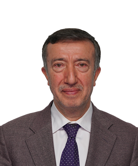 HASAN ALİ ÇELİK