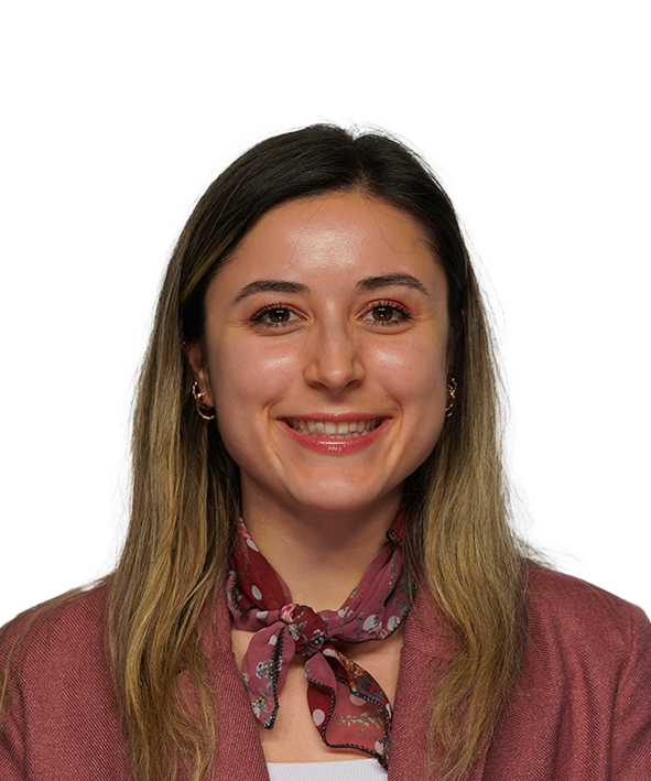 BİRGÜL DINGIRDAN GÜLTEKİNLER